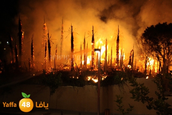 fire minas2 sterer (5).JPG